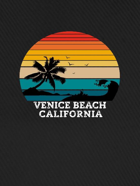 Venice Beach California Beaches