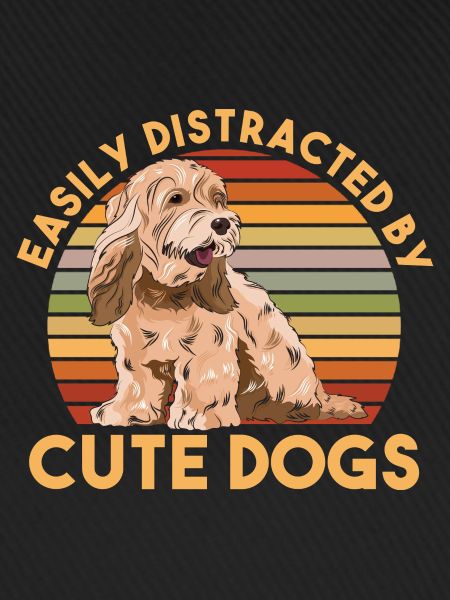 Cockapoo Hund