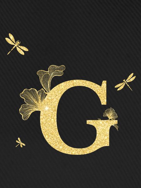 Buchstabe g goldene Glitzerlibelle - Geschenkidee