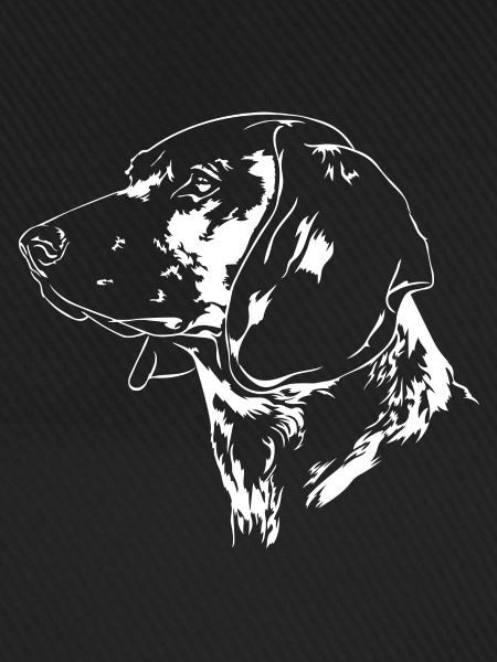BAYERISCHER GEBIRGSSCHWEIßHUND Jagdhunde Wilsigns