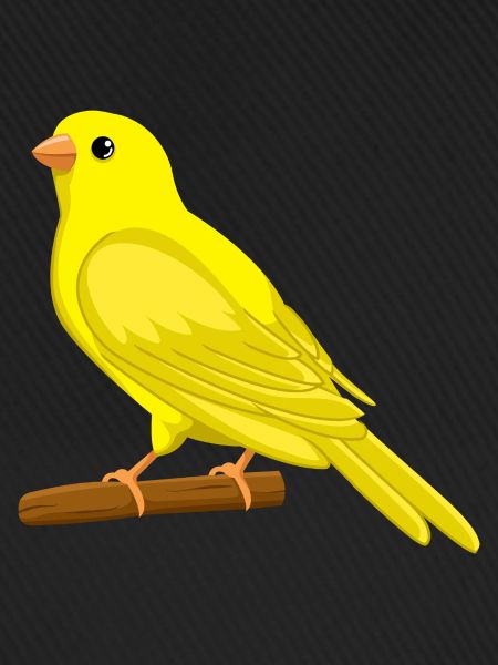 Kanarienvogel Singvogel, Vogel Design