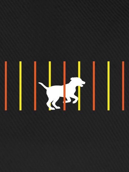 Hund Slalom Agility