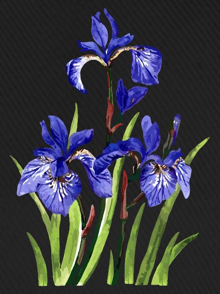 Blumen