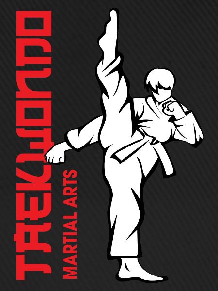 Taekwondo Flash Kick