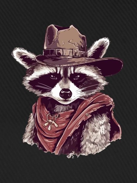 Der Cowboy-Waschbär