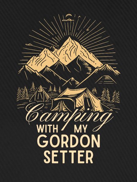 Gordon Setter Camping