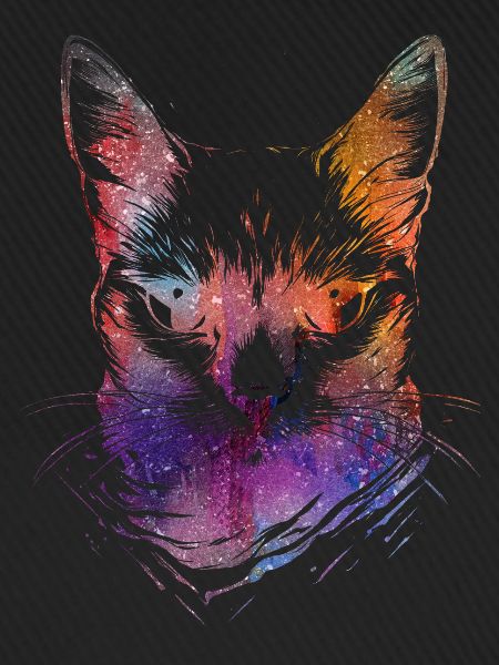 Bunte Katzen