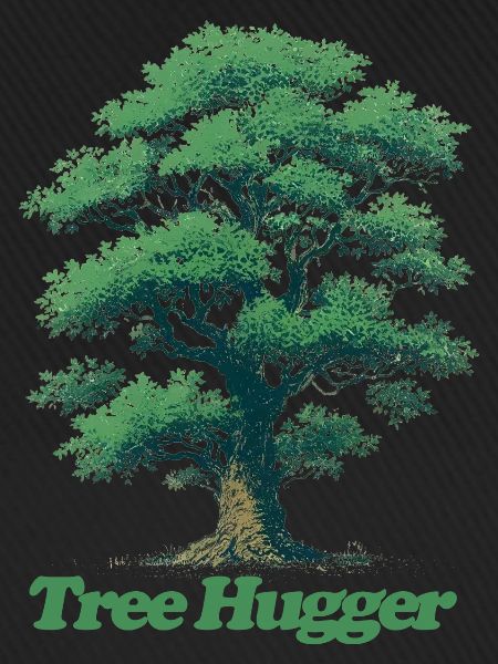 Baum-Umarmer