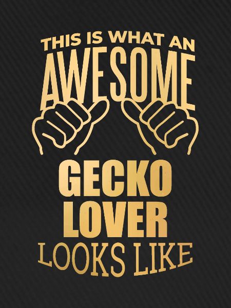 Gecko Gecko Gecko