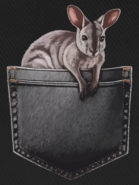 Wallaby