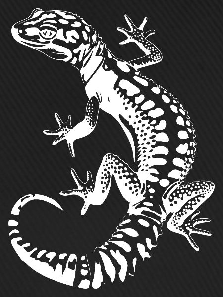 Gecko Silhouette Leopardgecko