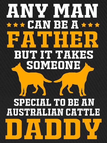Australian Cattle Dog