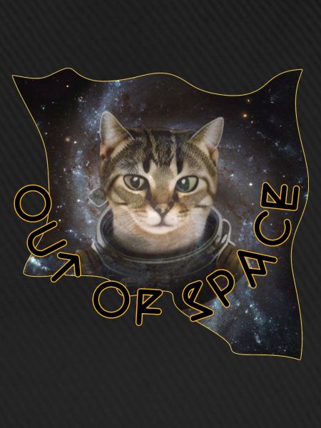 Space cat 4