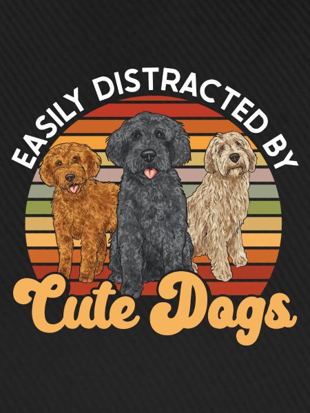 Labradoodle Hund