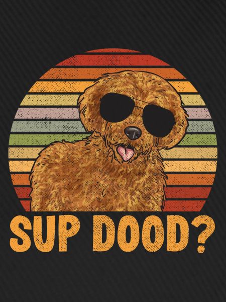Labradoodle Hund