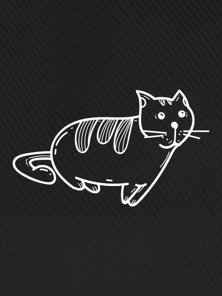 Katze Kätzchen Miezekatze