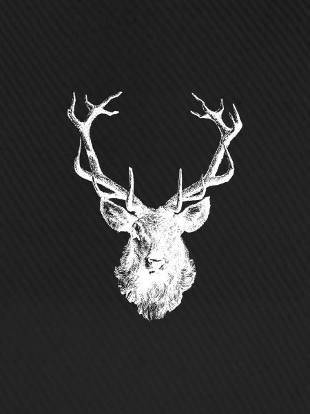 Hirsch - Hirschgeweih