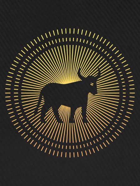 Stier als Sternzeichen