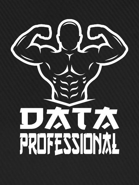 Daten Analytiker Datenschutz Beauftragter