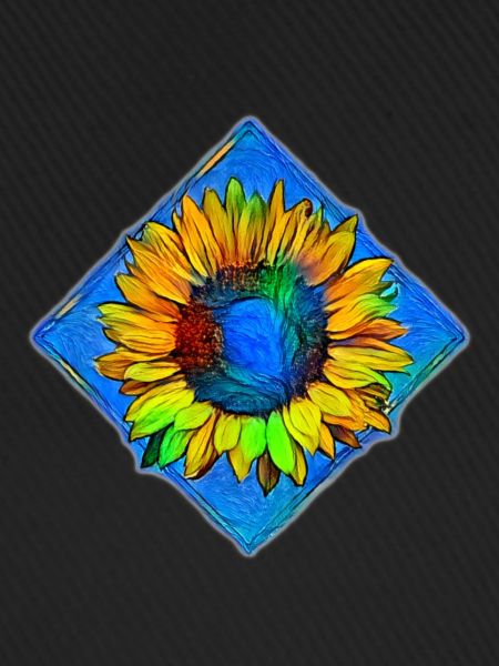 Sonnenblume