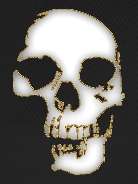 Skull