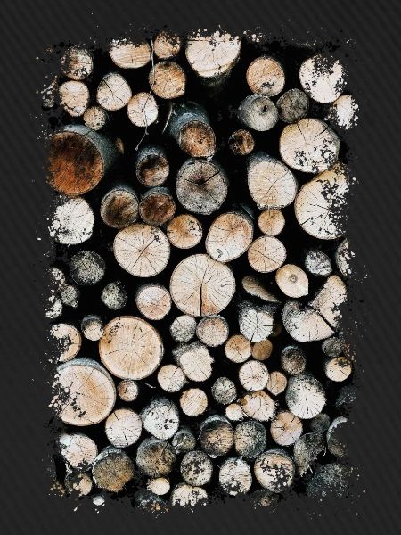 HOLZ