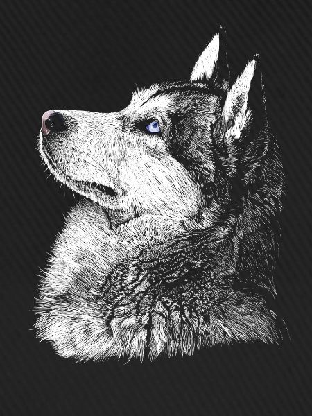 Husky