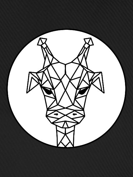 Geo-Giraffe