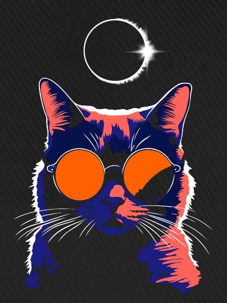 Katze Sonnenbrille Total Eclipse Cat