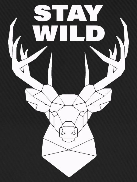 STAY WILD