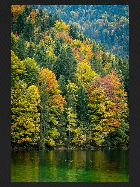 Herbstbäume am Eibsee in Bayern