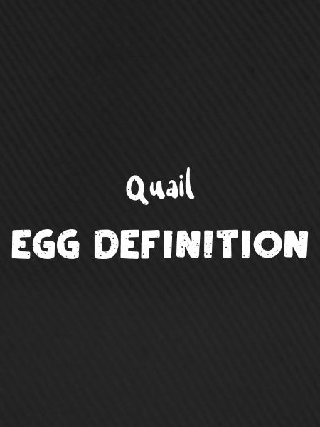 Quail Egg Definition - Eggs
