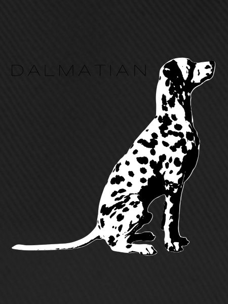 Dalmatiner