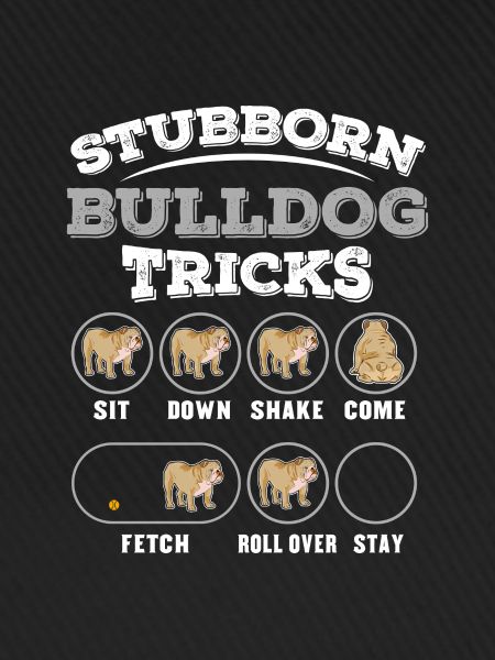 Hundetraining für Bulldogen