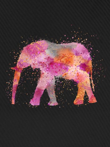 Elefant