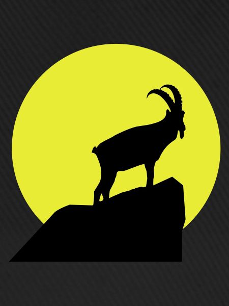 Sternzeichen Steinbock