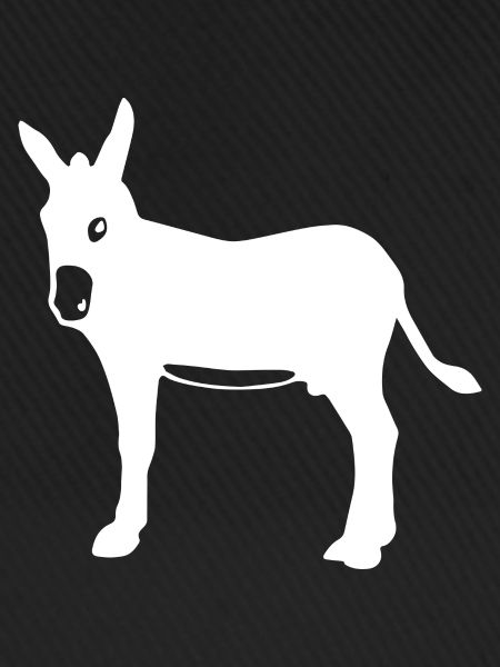 Donkey Esel
