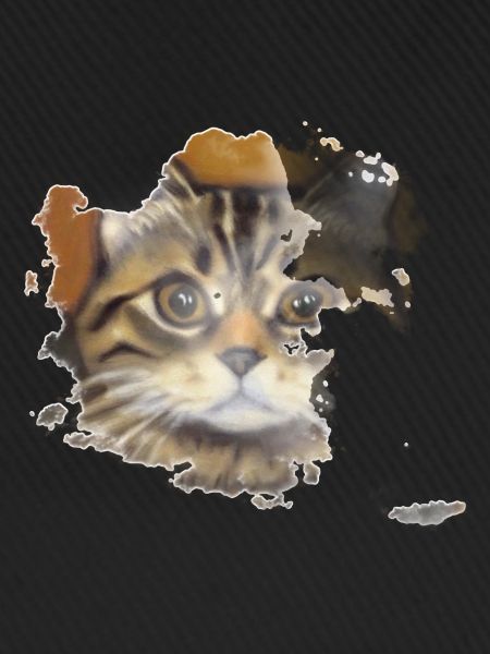 Katzengesicht 10
