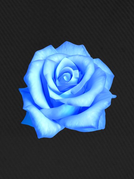 Blaue Rose