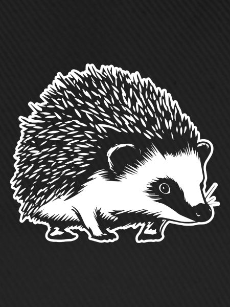 Igel Wald Stachelig Tier