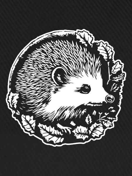 Igel Wald Stachelig Tier