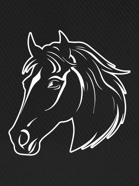 Pferd Pferdekopf Pony