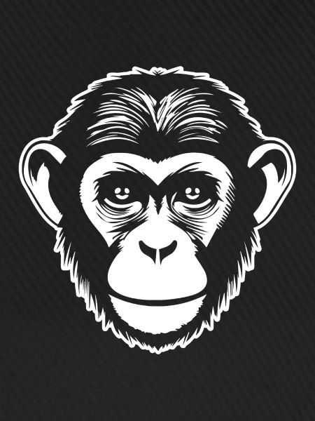 Affe Affen Affengesicht Dschungel