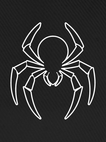Spinne Spinnen Tiere