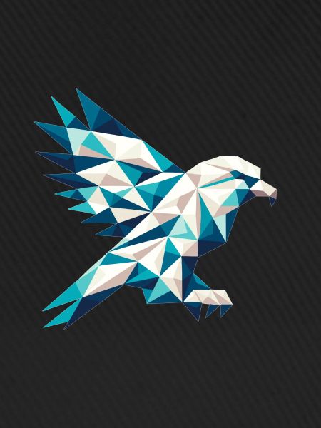Adler // eagle