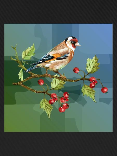 Bunter Vogel