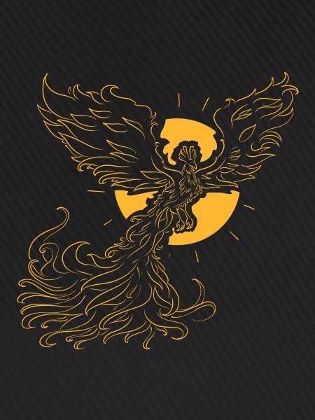 Fenix-Diagramm