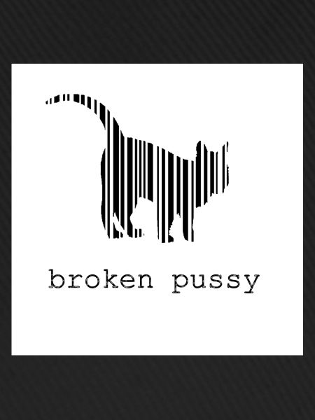 Broken Katze