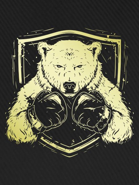 Eisbär Polar Bär Boxer