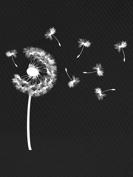 Pusteblume
